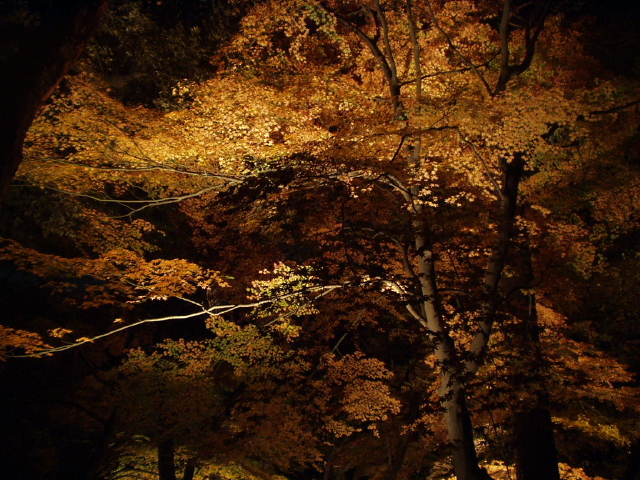 img0025.jpg