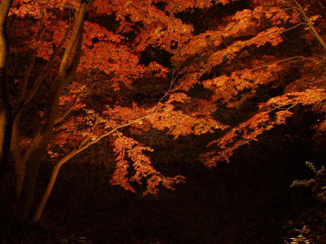 img0030.jpg
