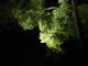 img0015.jpg