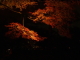 img0019.jpg