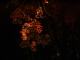img0020.jpg