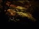 img0023.jpg