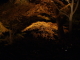 img0027.jpg