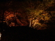 img0028.jpg