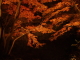 img0030.jpg
