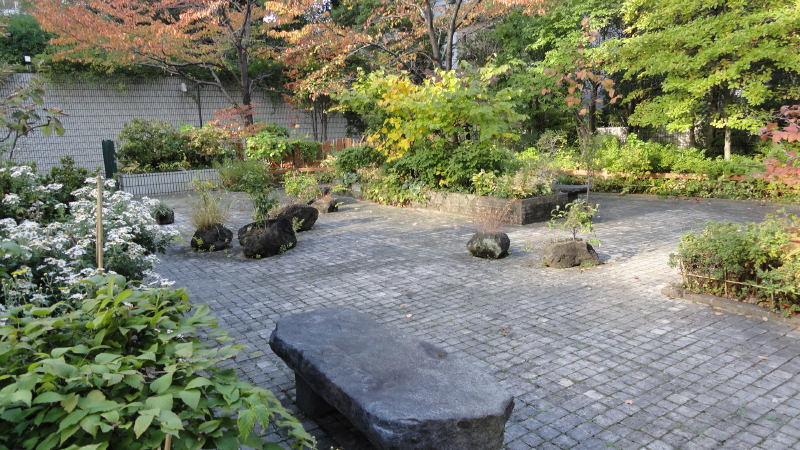 img0002.jpg