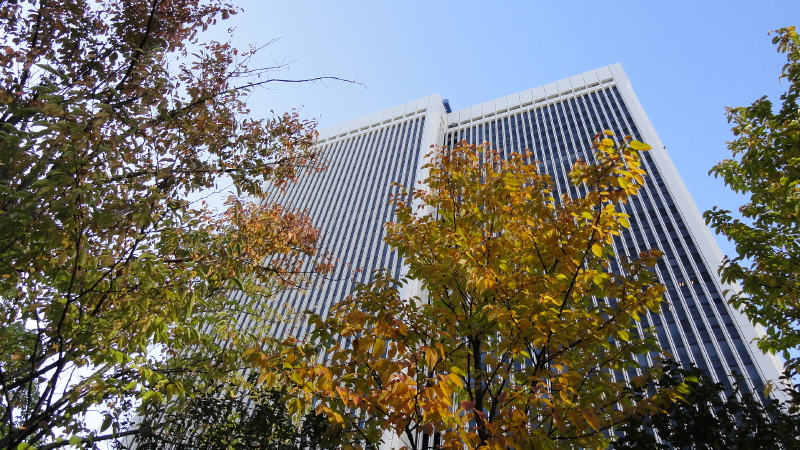 img0004.jpg