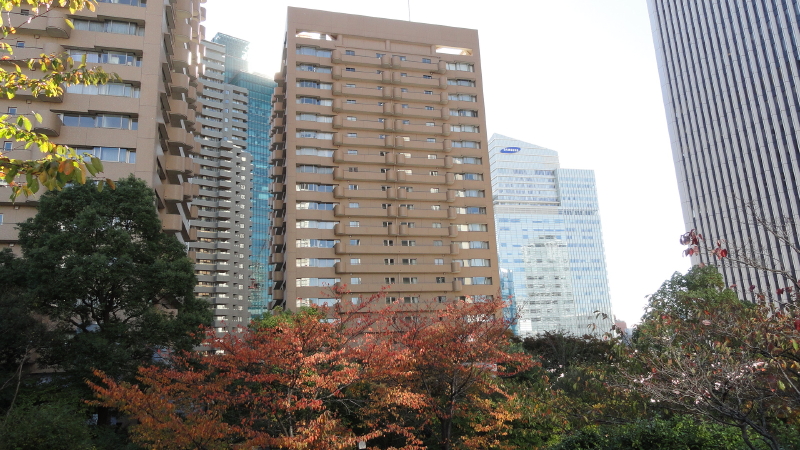 img0008.jpg