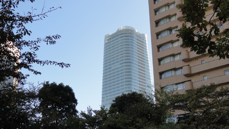 img0010.jpg