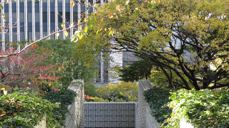 img0014.jpg