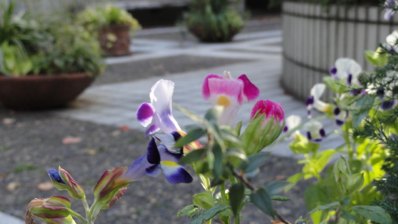 img0018.jpg