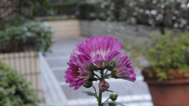 img0019.jpg