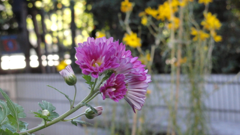 img0020.jpg