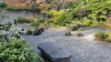 img0002.jpg