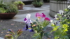 img0018.jpg