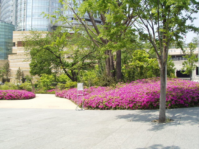 img0011.jpg