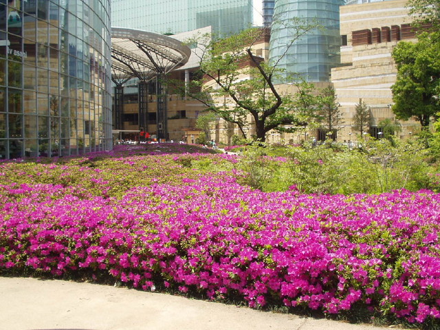 img0012.jpg