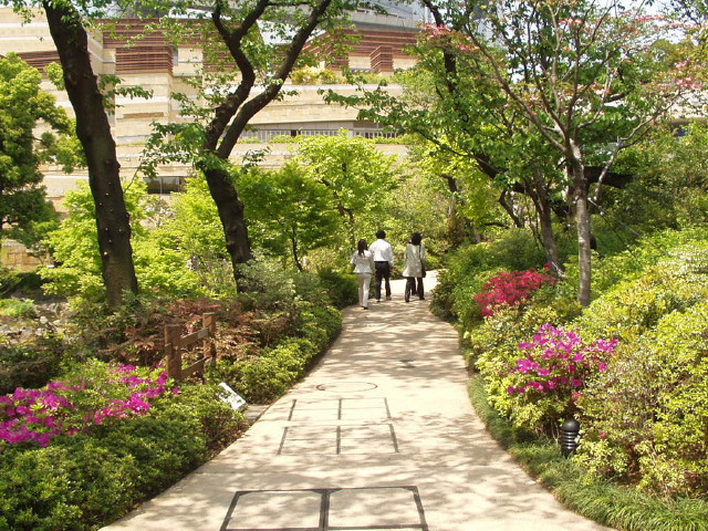 img0014.jpg