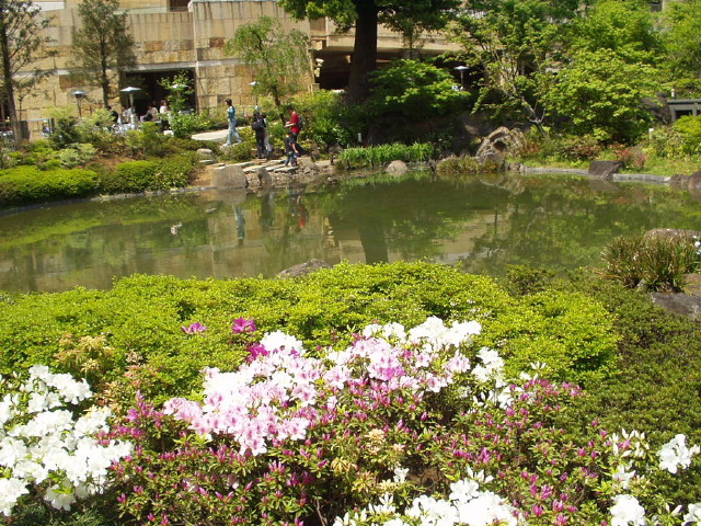 img0019.jpg