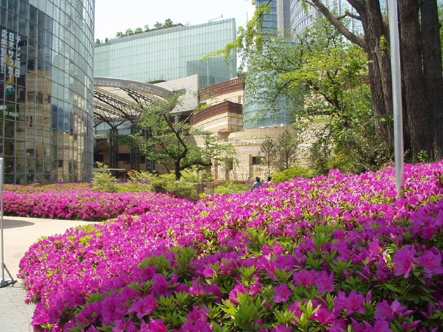 img0023.jpg