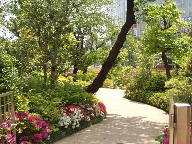 img0024.jpg