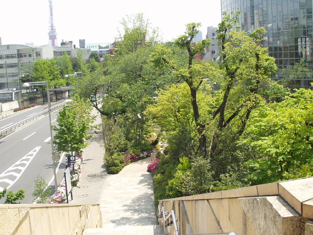 img0025.jpg