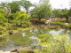 img0017.jpg