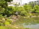 img0018.jpg
