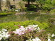 img0019.jpg