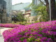 img0023.jpg
