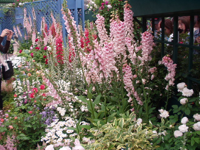 img0013.jpg