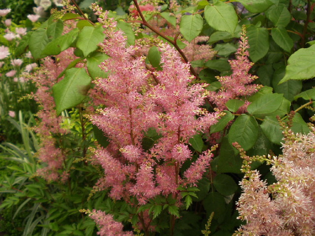 img0014.jpg