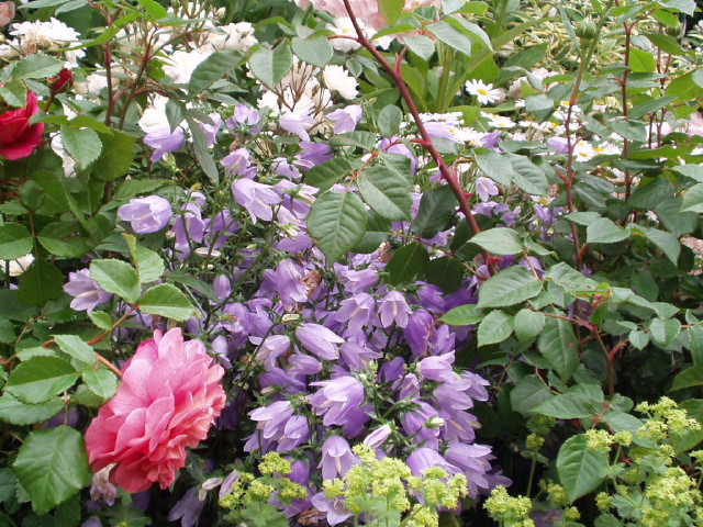 img0015.jpg