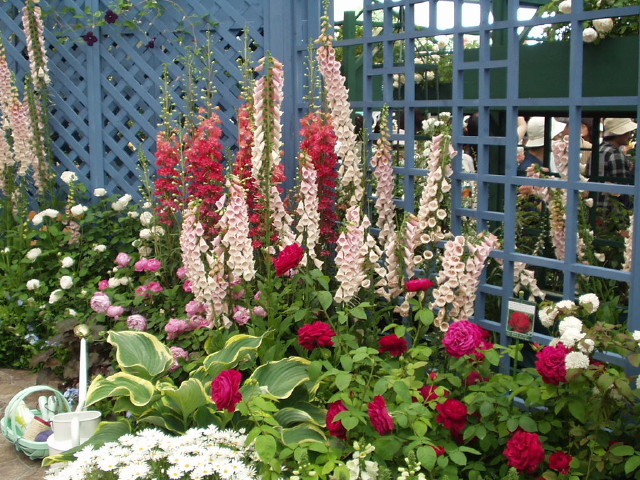 img0017.jpg