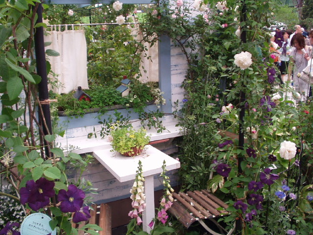 img0024.jpg