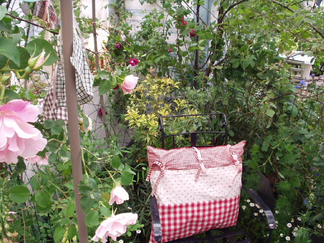 img0027.jpg