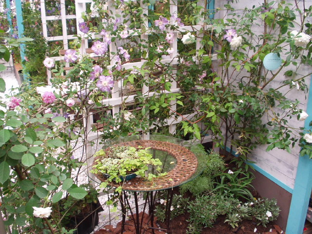 img0032.jpg