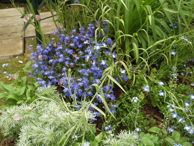 img0036.jpg