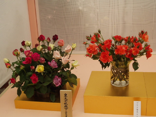 img0043.jpg