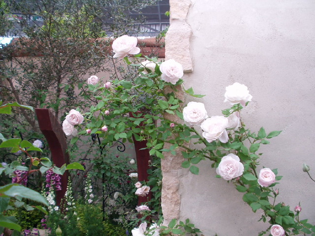 img0048.jpg