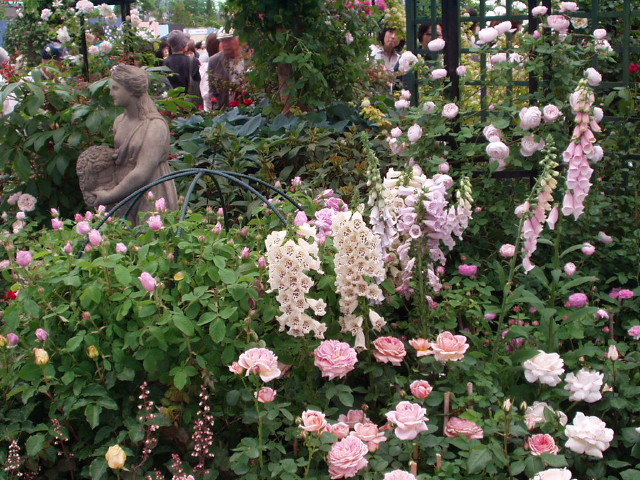img0055.jpg