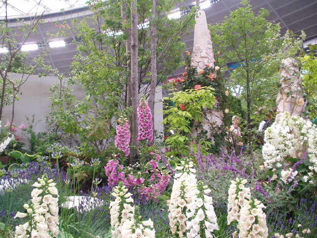 img0063.jpg