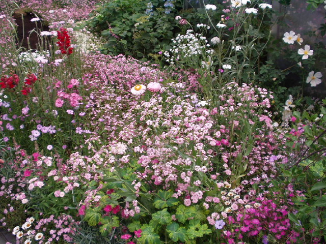 img0069.jpg