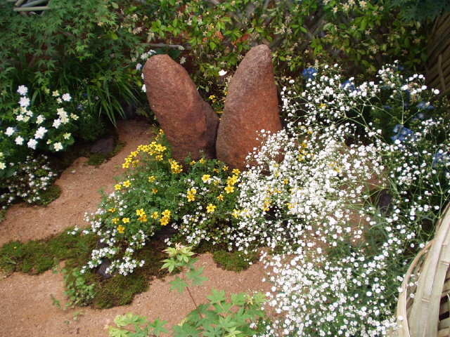 img0070.jpg