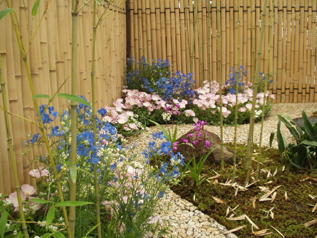img0071.jpg