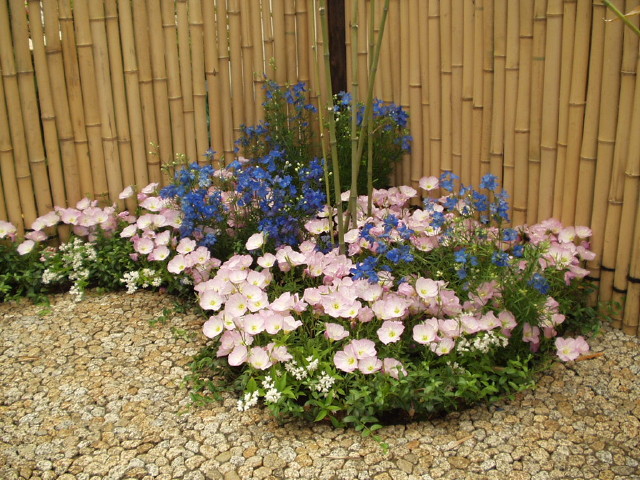 img0072.jpg