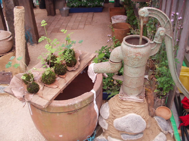 img0075.jpg