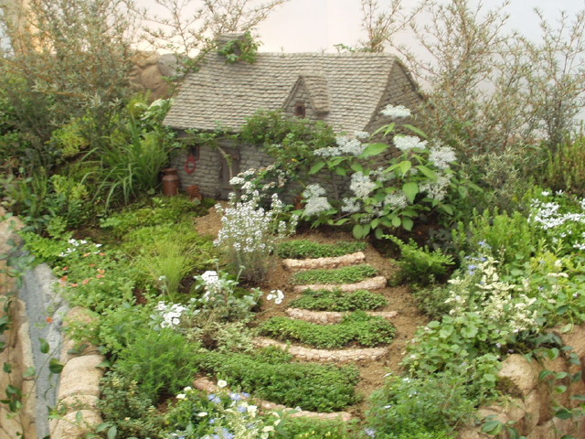 img0080.jpg