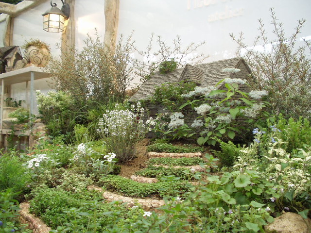 img0081.jpg
