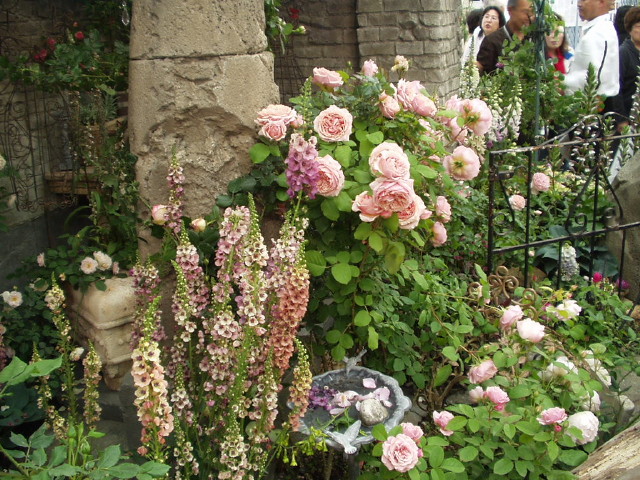 img0082.jpg